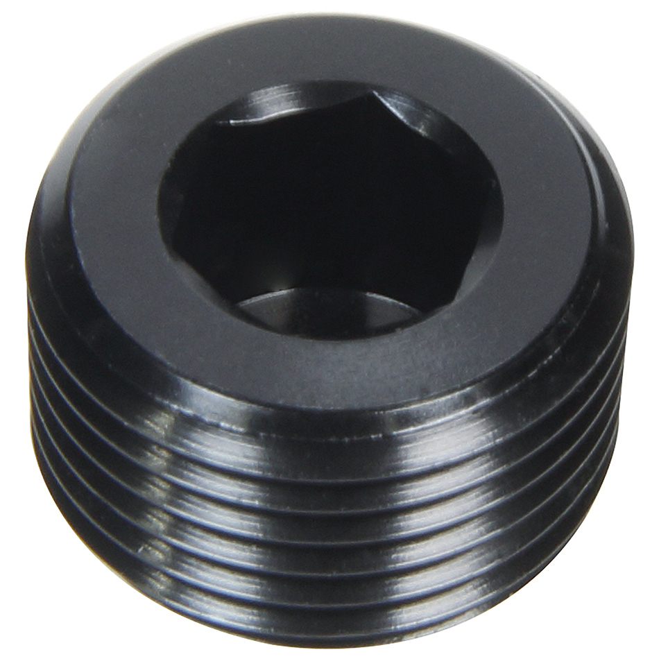 Allen Plug NPT 3/4in 