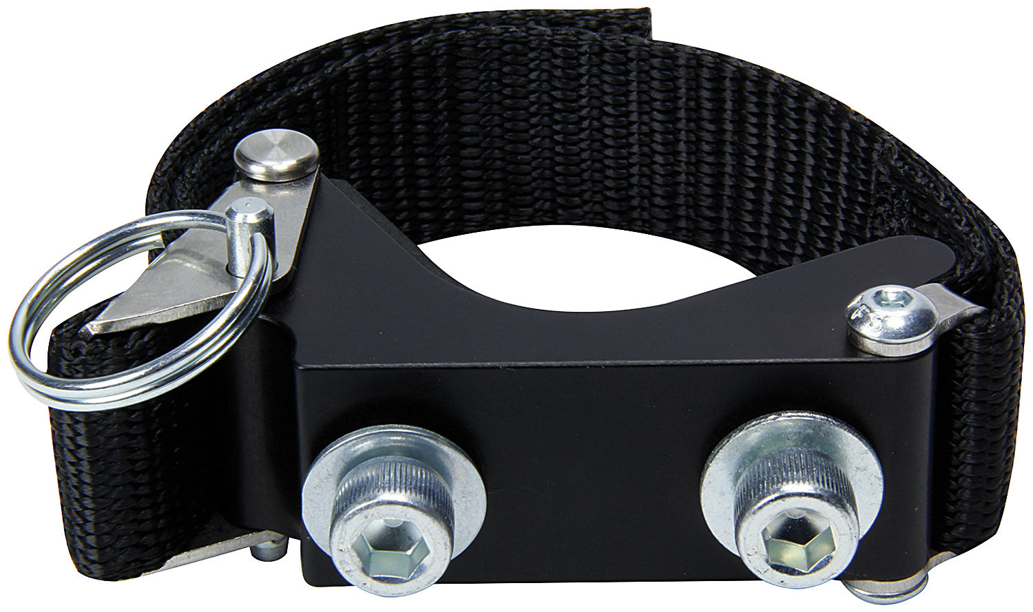ALLSTAR PERFORMANCE — ALLSTAR PERFORMANCE Canister Mount Flat Panel
