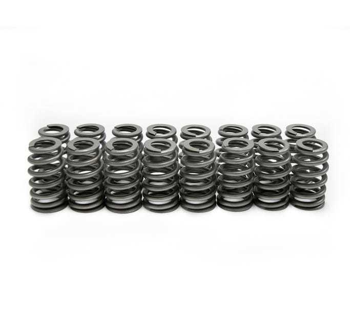 BRIAN TOOLEY RACING — BRIAN TOOLEY RACING LS6 Beehive Springs .560 Lift (16)