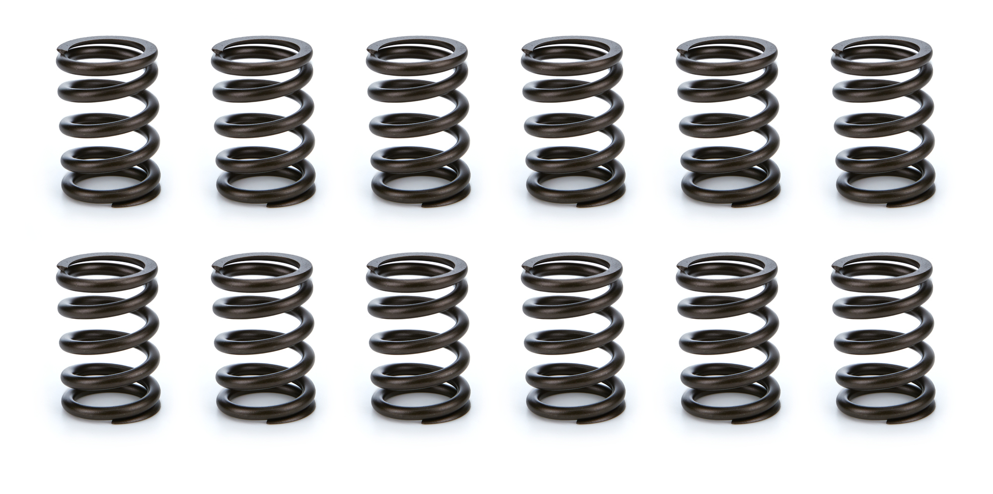 Valve Spring Set 