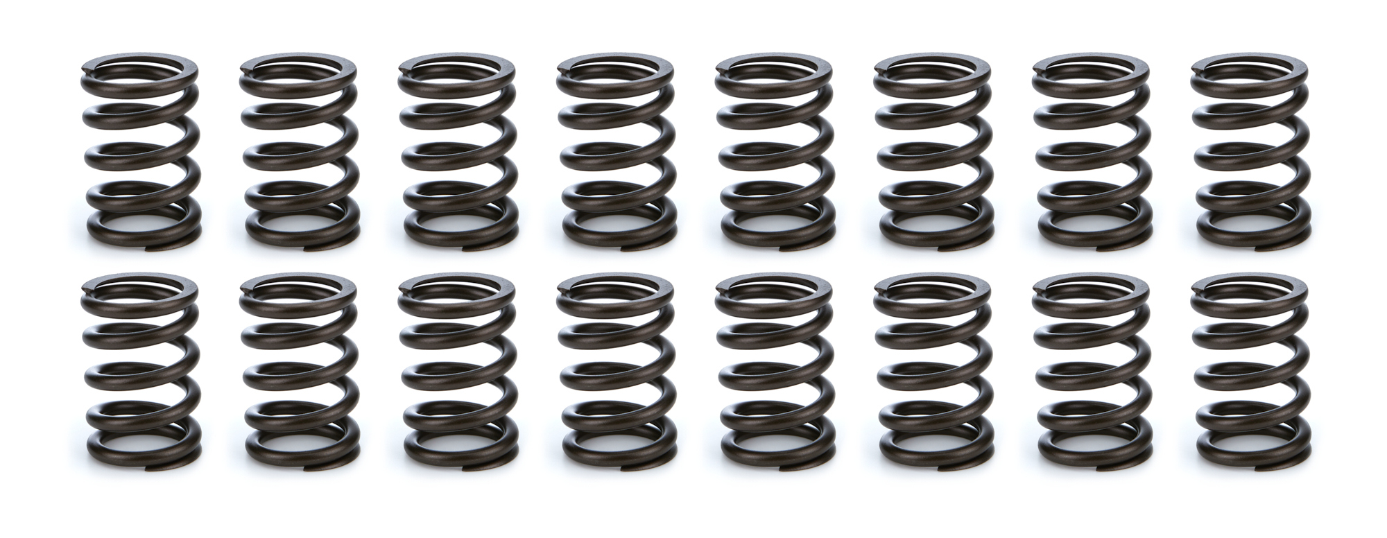 Valve Spring Set 