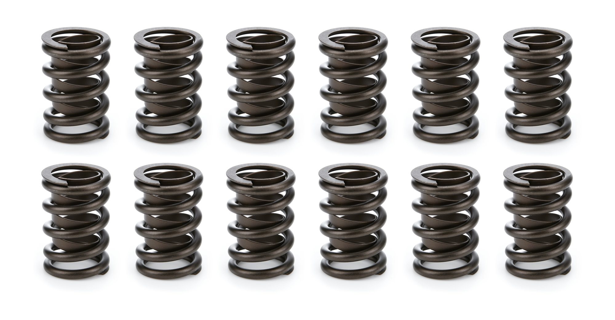 Valve Spring Set 
