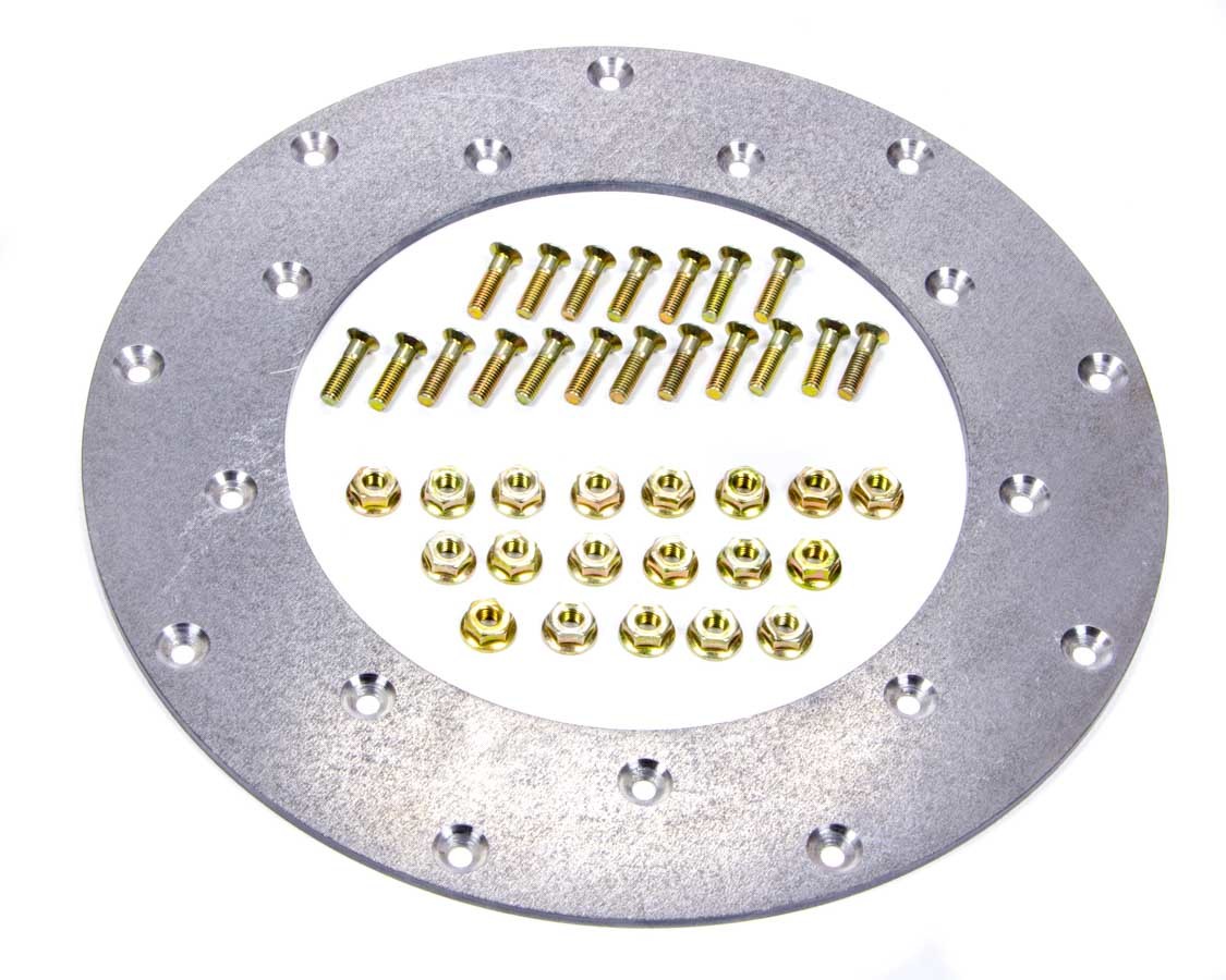 Fidanza 229501 Flywheel Insert Plate, 9.5 in Diameter, Steel, Natural, Each