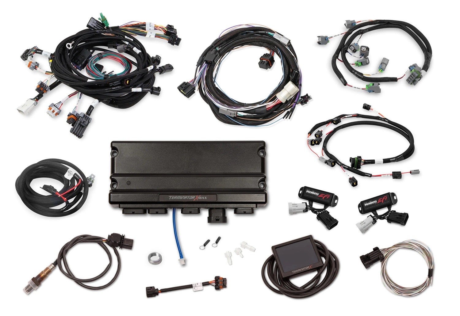 Holley EFI computers and components