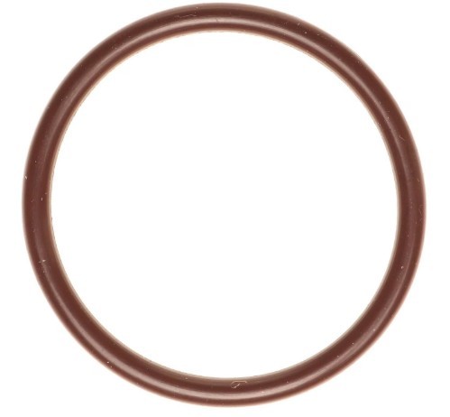 Fuel Pump O-Ring 18-24 Ford 5.0L