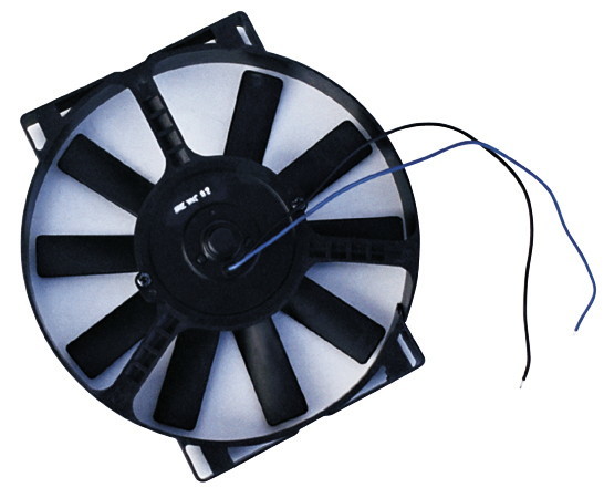 10in Electric Fan 